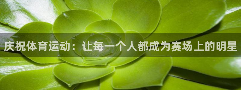 中欧体育网址