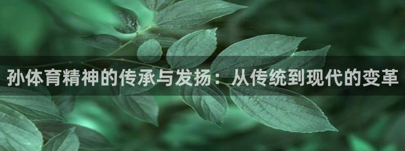 中欧体育在线