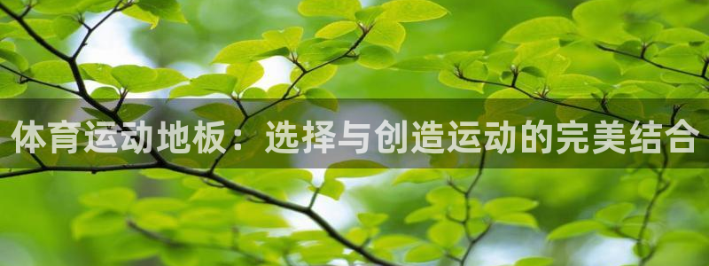 中欧体育kok官网首页：体育运动地板：选择与创造运动的完美结合