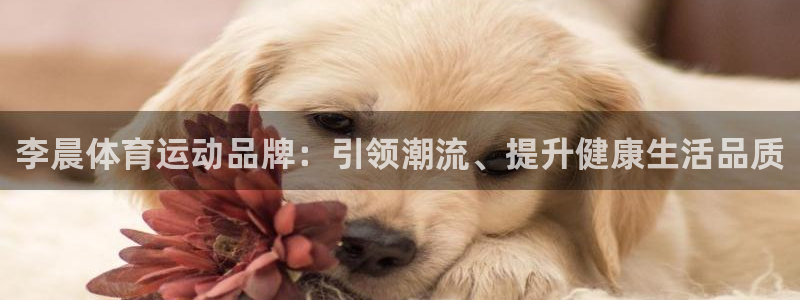 中欧体育集团：李晨体育运动品牌：引领潮流、提升健康生活品质