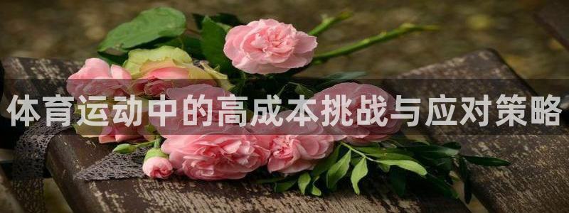 中欧体育ios：体育运动中的高成本挑战与应对策略