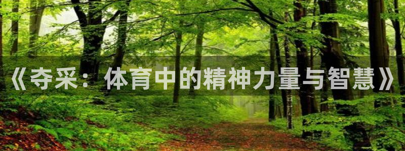 中欧体育集团：《夺采：体育中的精神力量与智慧》