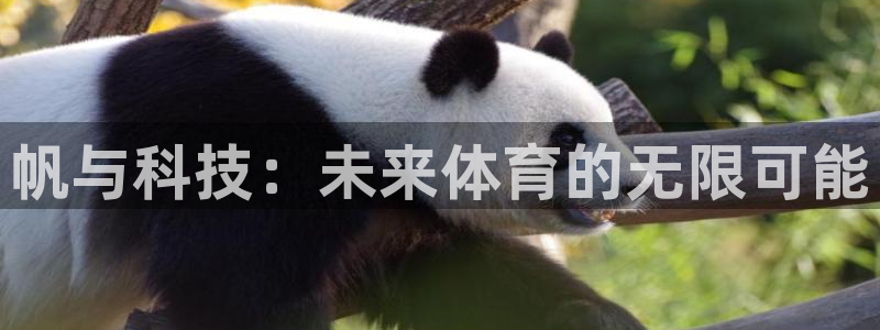 中欧体育下载：帆与科技：未来体育的无限可能