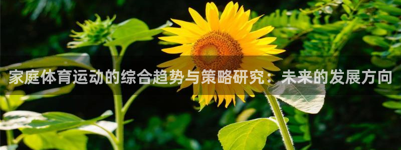 中欧体育网址：家庭体育运动的综合趋势与策略研究：未来的发展方向