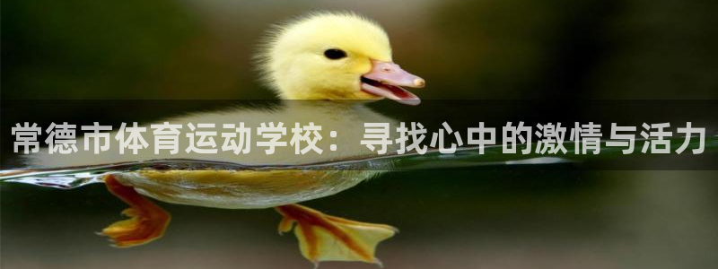 中欧体育李勇鸿：常德市体育运动学校：寻找心中的激情与活力