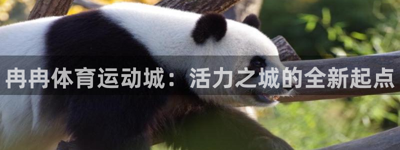 中欧体育下载：冉冉体育运动城：活力之城的全新起点