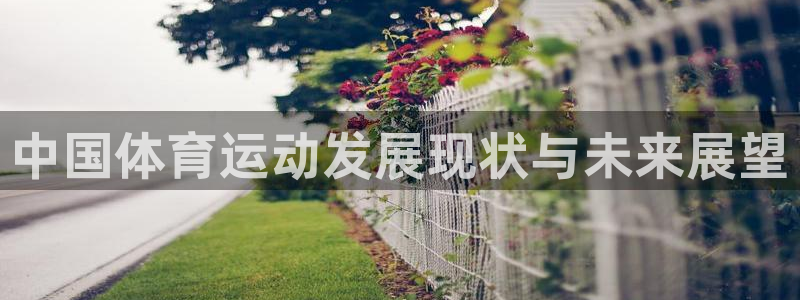 kok新版中欧体育：中国体育运动发展现状与未来展望