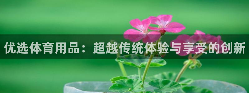 kok中欧体育登录：优选体育用品：超越传统体验与享受的创新